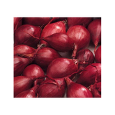 1KG RED KARMEN 14/21 VĖLYVI SVOGŪNŲ SODINUKAI