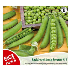 RAUKŠLĖTIEJI ŽIRNIAI PROGRESS N. 9 (20g)