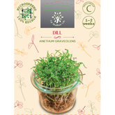 Sėklos daigams Paprastieji krapai 10g (ANETHUM GRAVEOLENS)