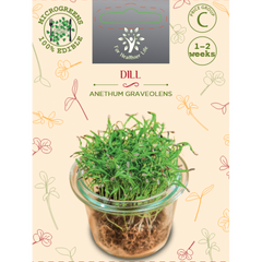 Sėklos daigams Paprastieji krapai 10g (ANETHUM GRAVEOLENS)