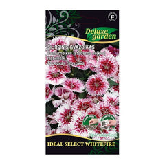 ŠIURPINIS GVAZDIKAS IDEAL SELECT WHITEFIRE 10 SĖK
