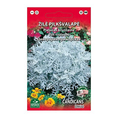 ŽILĖ PAJŪRINĖ 0.2g