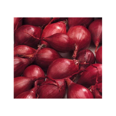 1kg Red Karmen 21/24 VĖLYVI Svogūnų sodinukai