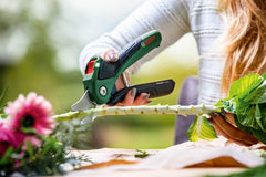 Akumuliatorinis sekatorius Bosch EasyPrune (3,6V integruota baterija)