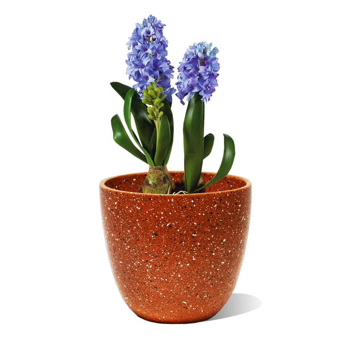 120x125 Keramikinis vazonas Burokas Etna VETBUR-1