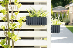 Lovelis gėlėms BOARDEE FENCYCASE 162x180x380