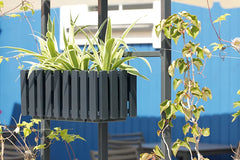 Lovelis gėlėms BOARDEE FENCYCASE 162x180x580