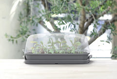 Respana stalo šiltnamis