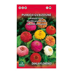 GVAIZDŪNĖ PUIKIOJI 1g
