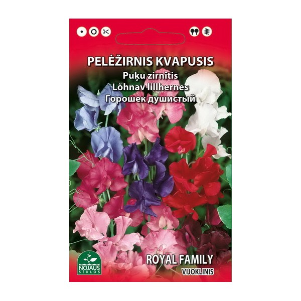 PELĖŽIRNIS KVAPUSIS VIJOKLINIS 2g