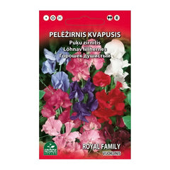 PELĖŽIRNIS KVAPUSIS VIJOKLINIS 2g