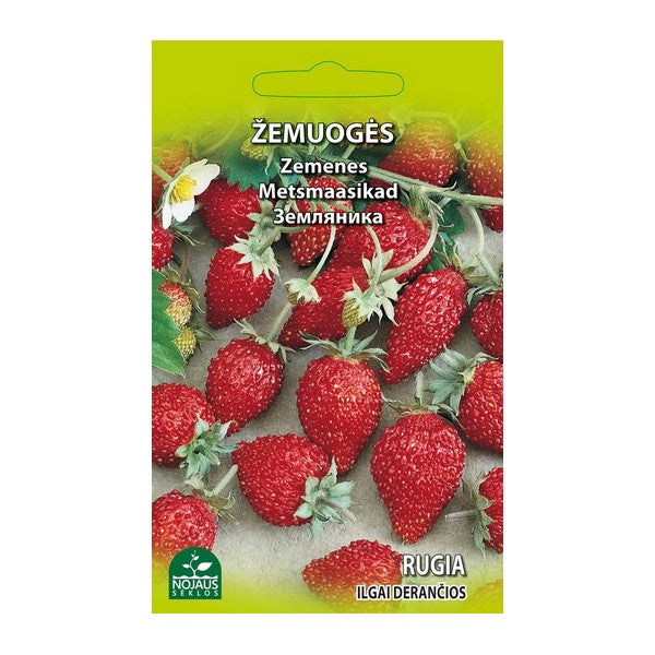 ŽEMUOGIŲ SĖKLOS RUGIA 0.1g